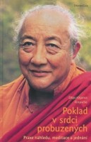 Poklad v srdci probuzených praxe náhledu, meditace a jednání