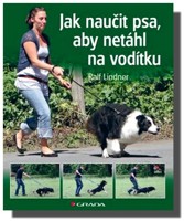 Jak naučit psa, aby netáhl na vodítku