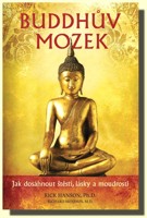 Buddhův mozek jak dosáhnout štěstí, lásky a moudrosti