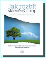 Jak rozbít skleněný strop