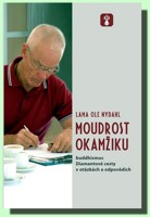 Moudrost okamžiku buddhismus Diamantové cesty v otázkách a odpovědích