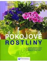 Pokojové rostliny - základy pěstování