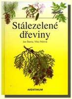 Stálezelené dřeviny