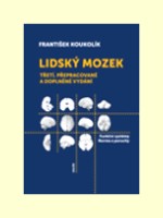 Lidský mozek