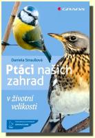 Ptáci našich zahrad v životní velikosti
