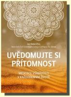 Uvědomujte si přítomnost  meditace všímavosti v každodenním životě