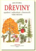 Dřeviny opadavé i stálozelené v ilustracích