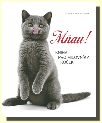 Mňau! kniha pro milovníky koček