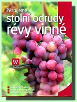 Pěstujeme stolní odrůdy révy vinné