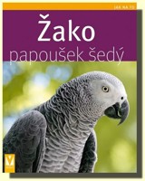 Žako papoušek šedý jak na to 