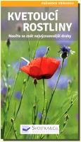Kvetoucí rostliny naučte se znát nejvýznamnější druhy