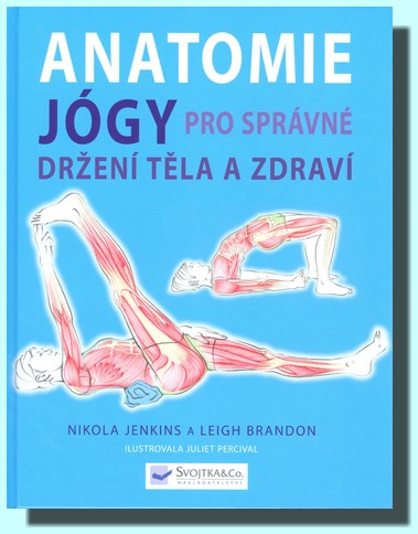 Anatomie jógy pro správné držení těla a zdraví