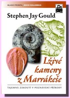 Lživé kameny z Marrákeše (vychází v červenci 2011)