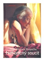 Nebojácný soucit - vysvětlení Atíšova Sedmibodového výcviku mysli