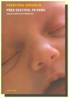 Před úsvitem, po ránu eseje o dětech a rodičích