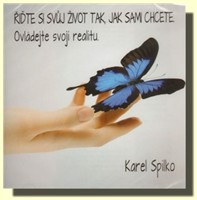 Řiďte si svůj život tak, jak sami chcete (audio CD)