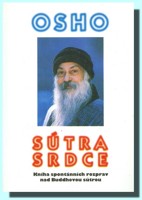 Sútra srdce kniha spontánních rozprav nad Buddhovou sútrou