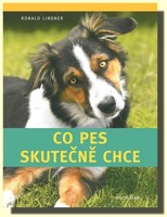 Co pes skutečně chce 