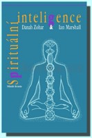 Spirituální inteligence