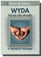 WYDA léčivá síla druidů