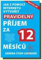 Jak s pomocí internetu vytvořit pravidelný příjem za 12 měsíců