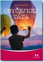 Obyčejnej táta moje cesta ke mně, k mým synům a všemu kolem