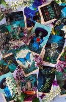 Santa Muerte Tarot 78 karet