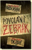 Povolání žebrák svědectví o drsné realitě lidí žijících na ulici 