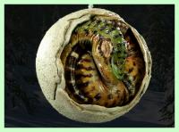 Brachiosaurus Hatchling in Its Egg Ornament  pravěký svět