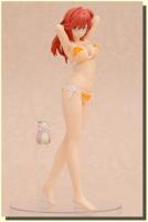 Takatsuki Ichika Swimwear Figure